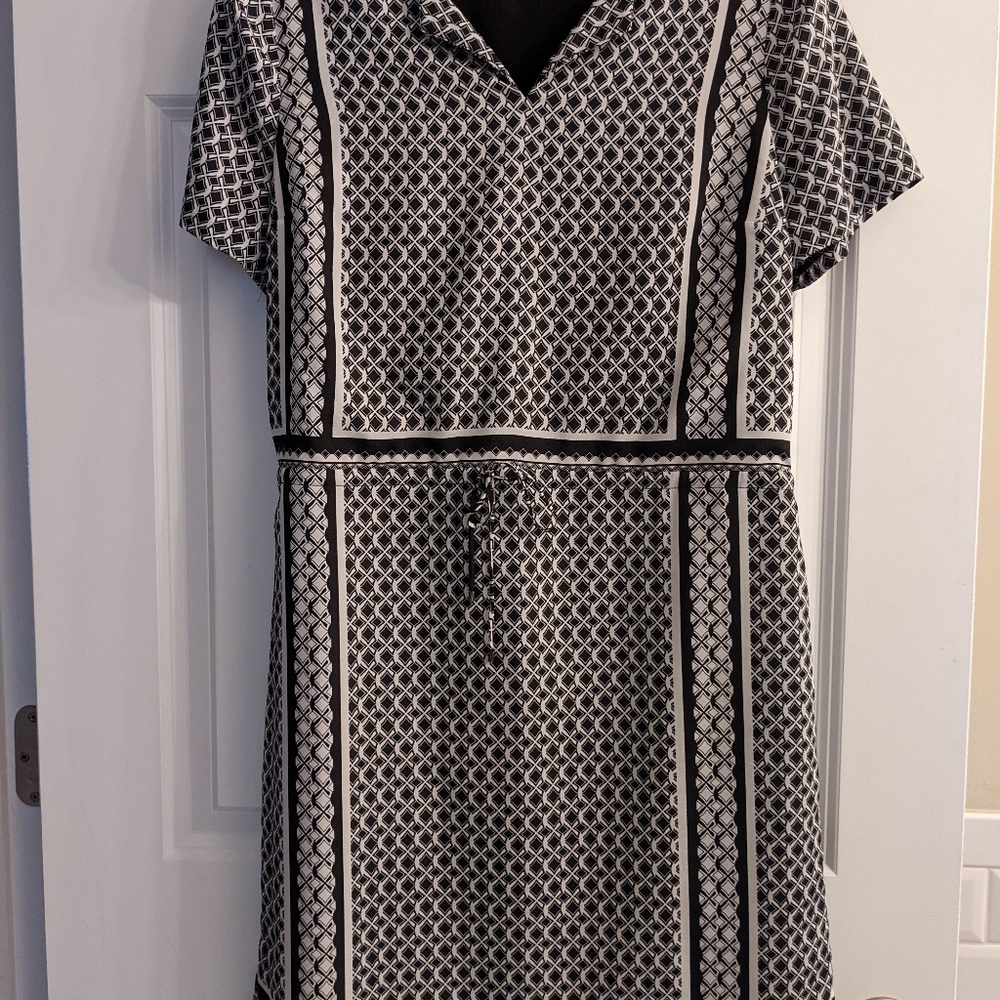 The Limited Dress